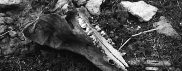 Фотопрогулка по родным местам: нынче здесь, завтра там.